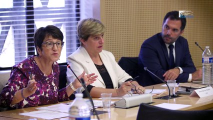 Questions à Dominique VERSINI (Mairie de Paris) - Lutte contre grande pauvreté - cese