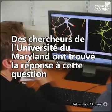 Faire de l'exercice est une bonne habitude, mais ses effets ne durent pas longtemps. Voici ce qui se produit dans votre cerveau si vous n'êtes pas constant.