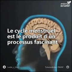 Le cycle menstruel suit un processus aussi parfait qu'intéressant. Découvrez-le avec nous !