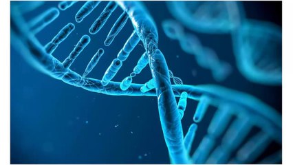 8 Root Causes Of Eczema Doctors Never Treat