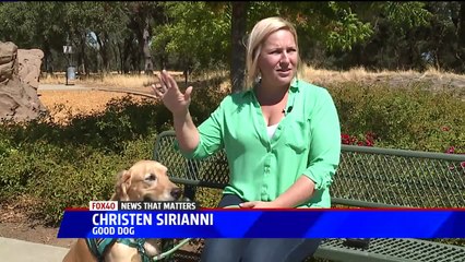 Girl is First With Both Autism, Down Syndrome to Get Service Dog