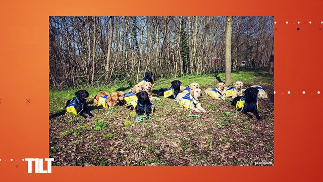 TILT - 12/09/2018 Partie 1 - A Tours de bulles : 14ème édition