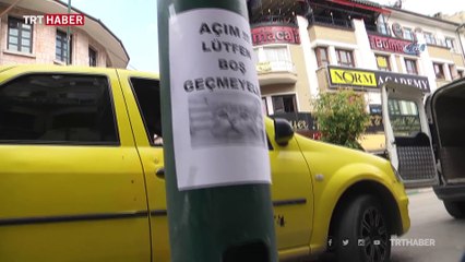 Bursa esnafından ilginç deney: Mama masrafları için kediyi dilendirdiler