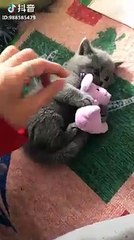 bientot il nous ferais peur lol !!