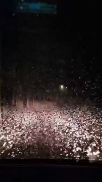 Des papillons envahissent un village dans l'Ain