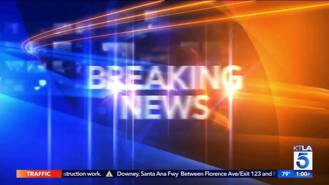 Woman in Custody After Neighbors Allegedly See Her Trying to Dispose of Body in Backyard