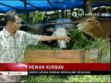 Kenaikan Harga Hewan Kurban di Berbagai Daerah Jelang Idul Adha