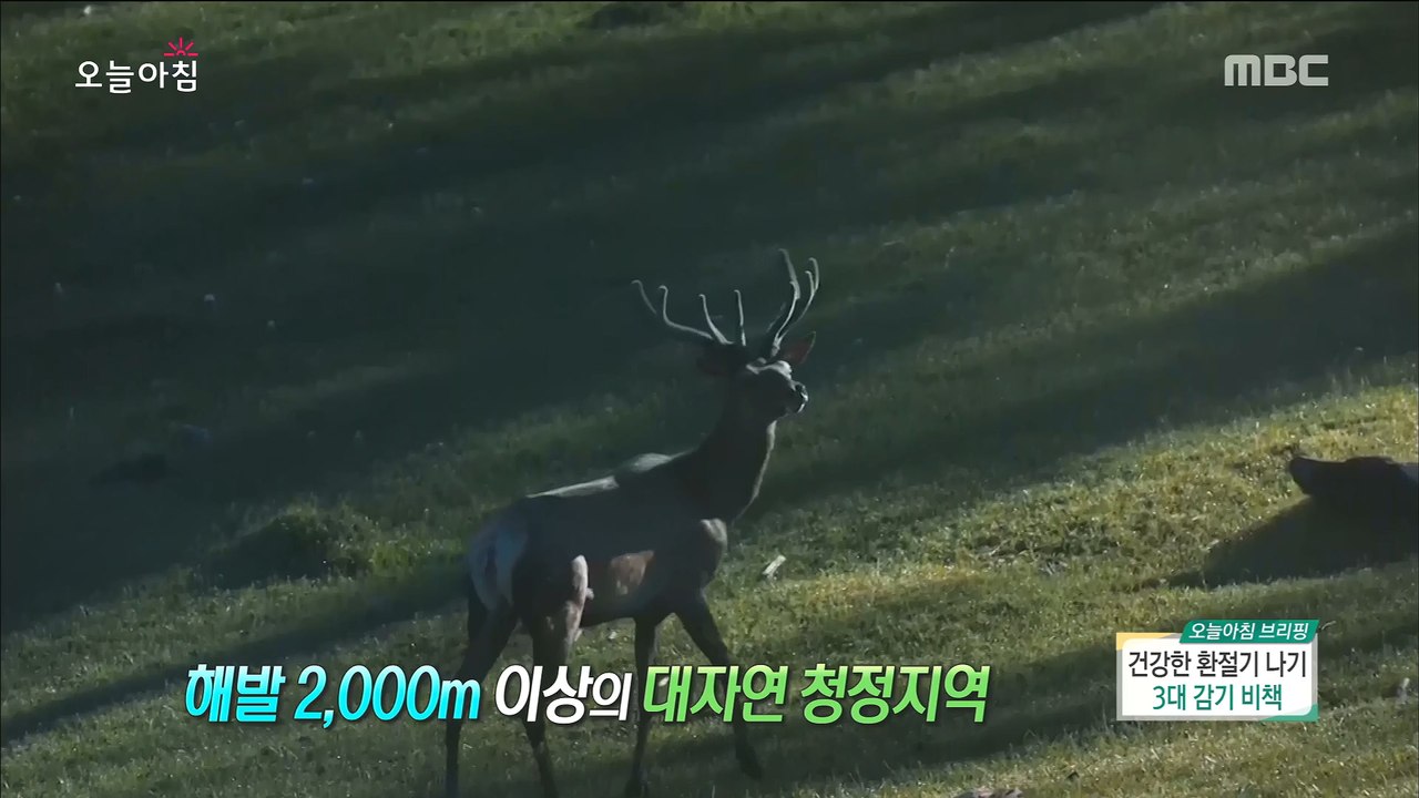 [HEALTHY] Knowhow to catch cold winds!, 생방송 오늘 아침 20180913 동영상