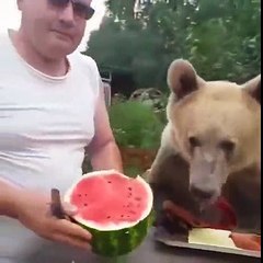 Пока арбузный сезон не закончился