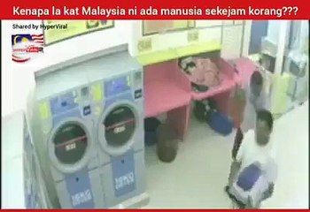 Polis buru dua lelaki masukkan kucing dalam mesin pengering