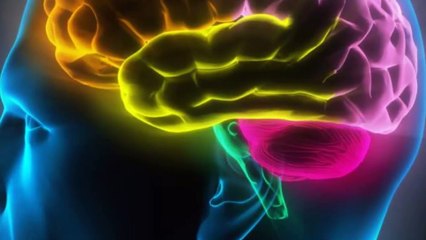 These 4 Herbs Can Protect Your Brain From Alzheimer’s, Depression, Anxiety And Much More