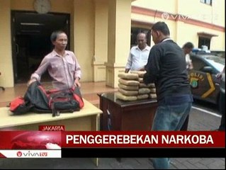 24 Kg Ganja Kering Disita dari Pengedar
