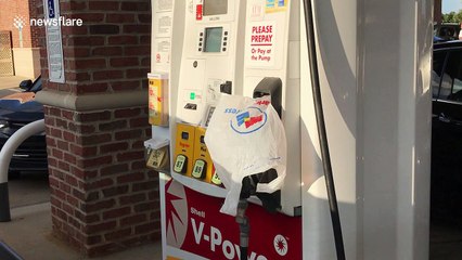 Gas stations run out of fuel as residents stock up ahead of Florence landfall
