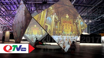 Cung cá heo-Trải nghiệm không gian trưng bày hấp dẫn - QTV