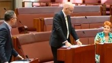 Senators Pauline Hanson and Richard Di Natale Battle Over Proposed Burqa and Niqab Ban