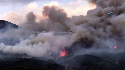 Hatay'daki orman yangını yerleşim bölgesini tehdit ediyor