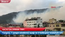 Hatay'da orman yangını