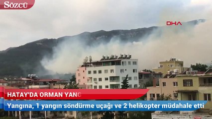 Hatay'da orman yangını