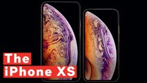 iPhone XS And XS Max: 7 Things You Need To Know About Apple's Updated Premium Phone