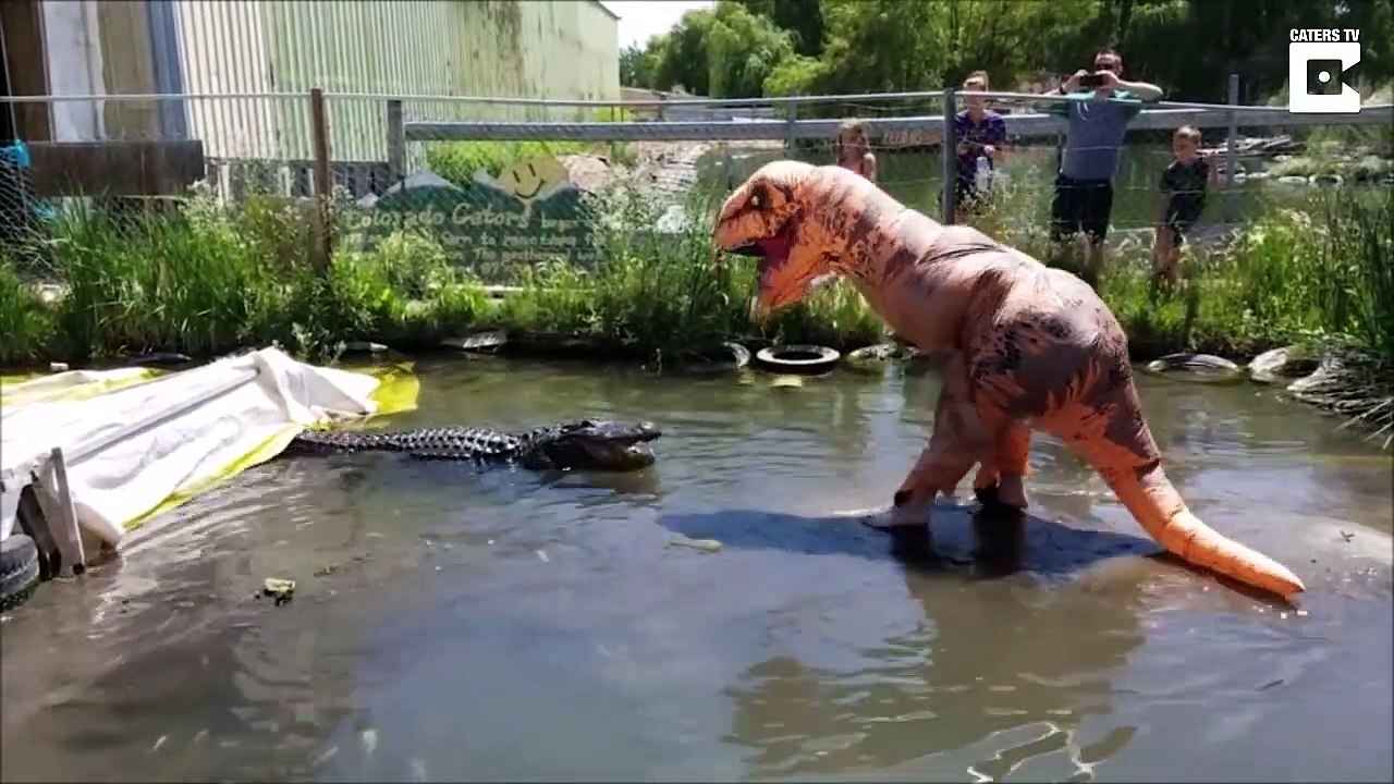 Déguisé en T-Rex, il provoque et nargue un crocodile !