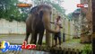 iJuander: Kasalukuyang estado ng mga hayop sa Manila Zoo, inalam ng 'I Juander'