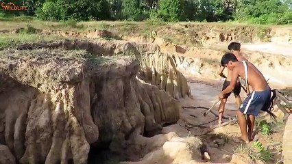 The First Creative Boys Porcupine Trap Using Nets & Bike Wheel - How To Make porcupine That Work