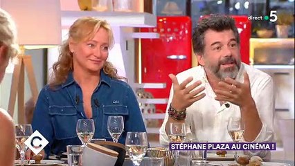 Stéphane Plaza devance les journalistes et répond à leurs critiques dans "C à vous"