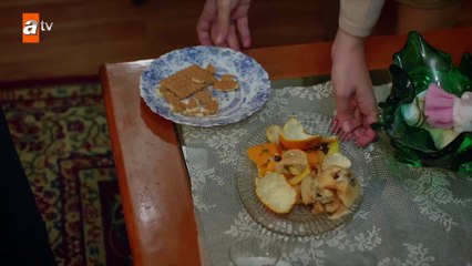 Mesude’nin yalnızlığı! - Kırgın Çiçekler 64.Bölüm