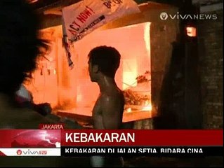 Si Jago Merah Mengamuk di Bidara Cina