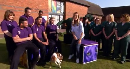 Give a Pet a Home S01 - Ep02  2 HD Watch