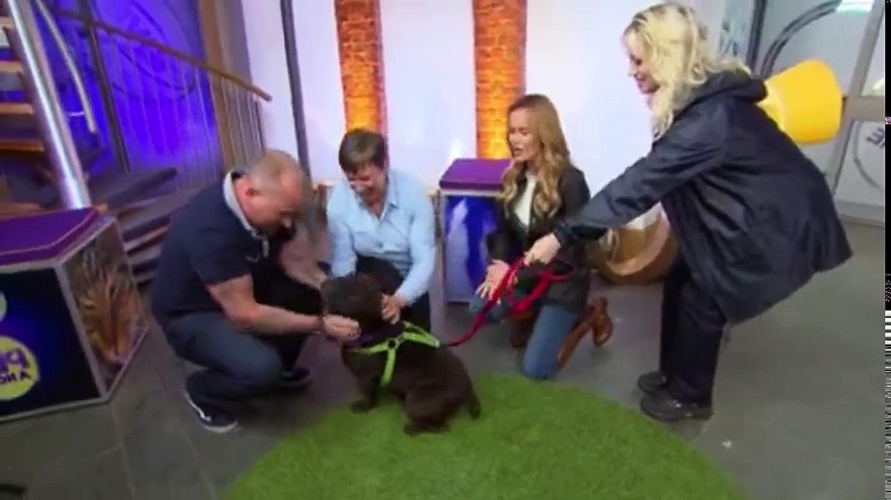 Give a Pet a Home S01 - Ep06  6 HD Watch