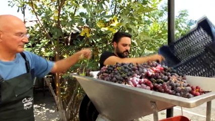 Gömeç’te üretilen 'balzamik' sirke her derde deva