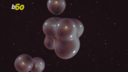 The Science Behind Why Some People Never Get Sick