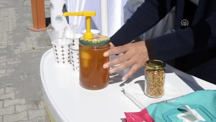 Kafkas arısına destek - ARDAHAN