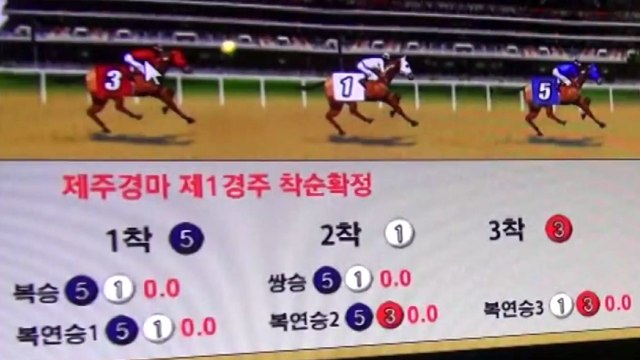 35개 파 조폭 연루 ...2천억 '불법 경마' 적발 / YTN