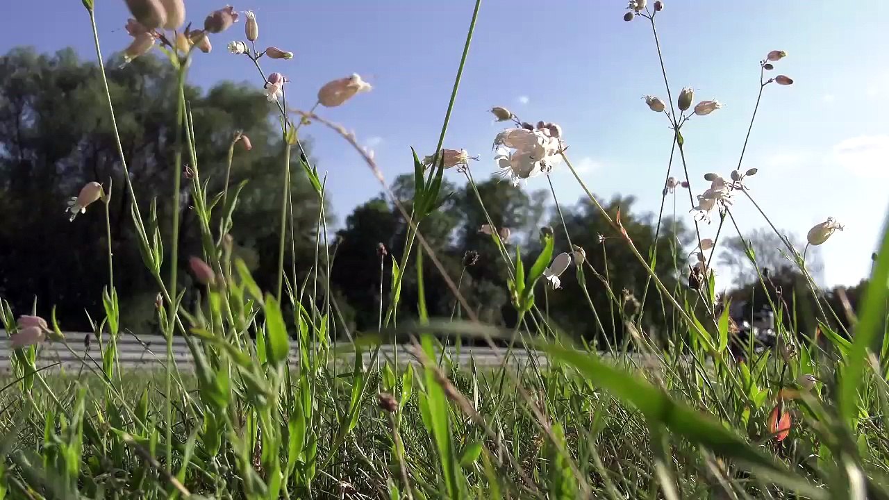 BMW R 1200 GS autonomous bike