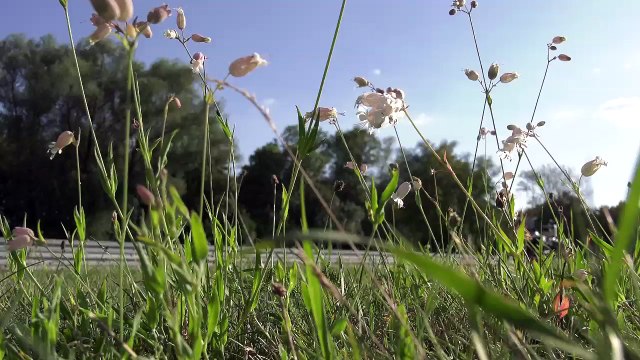 BMW R 1200 GS autonomous bike