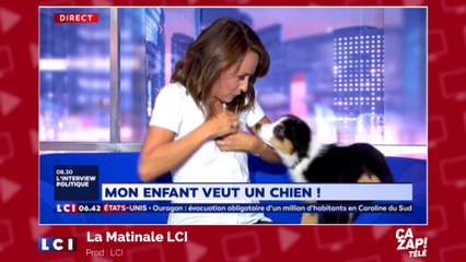 Un chien coquin met la truffe dans le décolleté de la présentatrice !