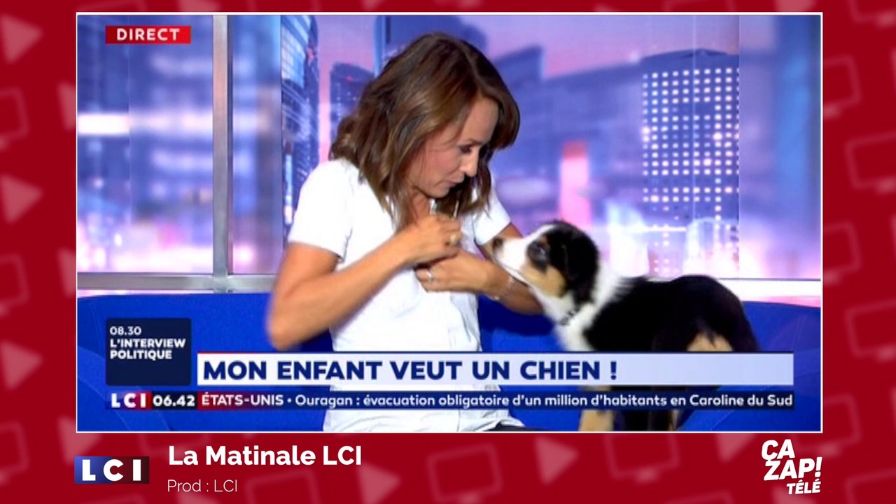 Un chien coquin met la truffe dans le décolleté de la présentatrice !