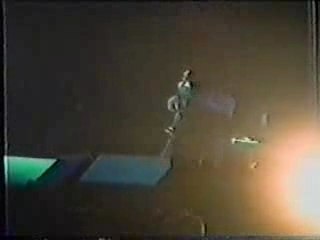 Bulls On Parade Reading 1996