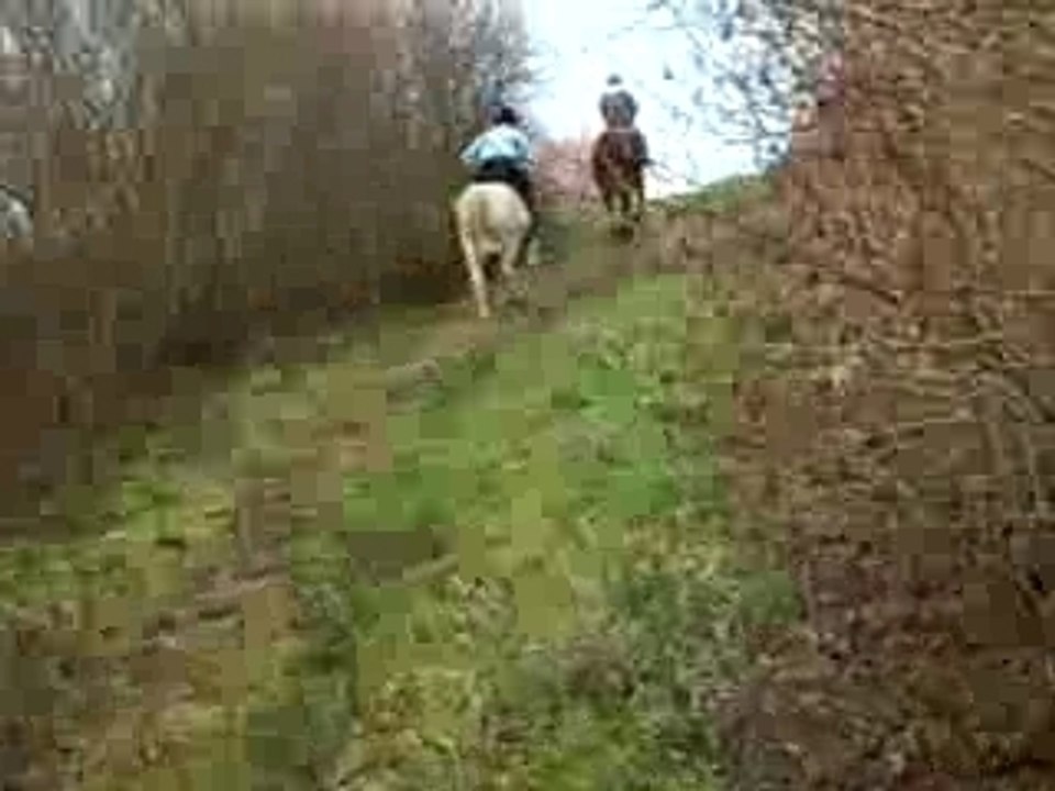 galop monté