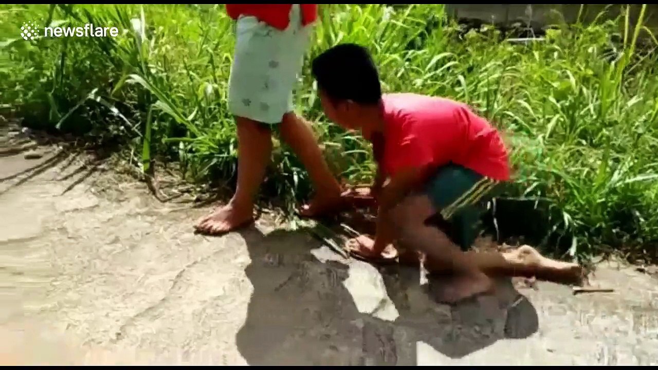 Brave Indonesian boy with partial paralysis walks home from school on his hands
