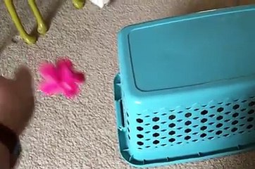 Otomatik Çorap Toplayan Yeni Teknolojik Sepet