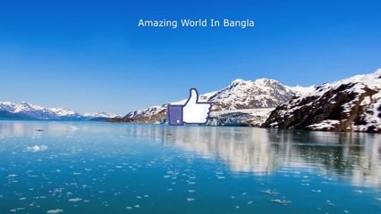 অ্যান্টার্কটিকা দেশ সম্পর্কে চমকে ওঠার মতো কিছু তথ্য যা আপনি জানেন না -- facts of Antarctica