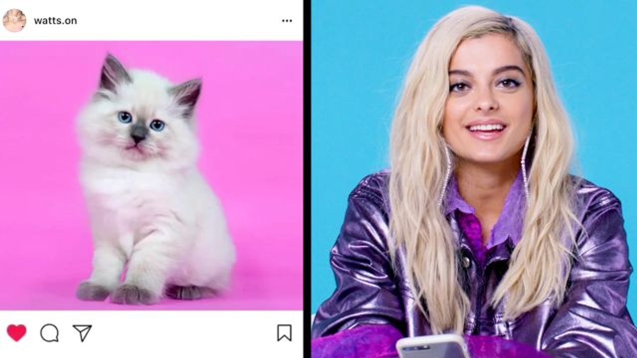Bebe Rexha Breaks Down Her Favorite Instagram Follows