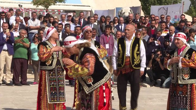 TBMM Başkanı Binali Yıldırım: ''İster PKK kılığında ister FETÖ kılığında gelsinler birliğimizi kardeşliğimizi asla bozamazlar, zarar veremezler''