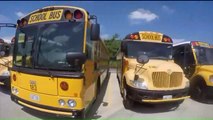 Video Shows Car Driving Through Yard to Pass School Bus