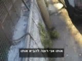 Palestinians harassed by Jewish settler in Hebron cage (p2)