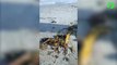Ce touriste découvre des milliers d'asticots sur la plage