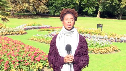 GOODLINES: September 14th 2018